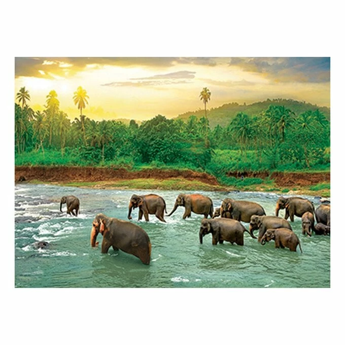 Best deal π Eurographics Save Our Planet Rainforest Jigsaw Puzzle 1000 Pieces π― 4 Best deal π Eurographics Save Our Planet Rainforest Jigsaw Puzzle 1000 Pieces π― - Image 2